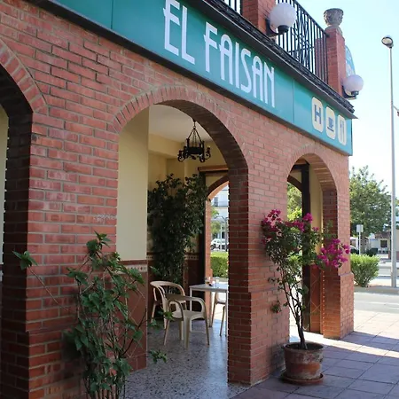 El Faisan C&r * Arcos de la Frontera
